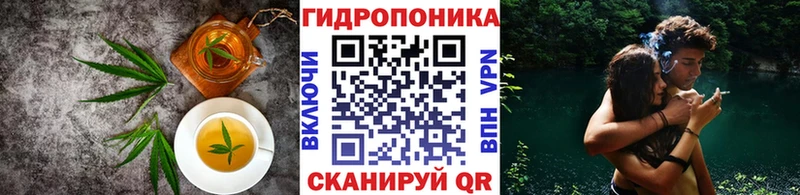 KRAKEN зеркало  наркошоп  Самара  Canna-Cookies конопля 