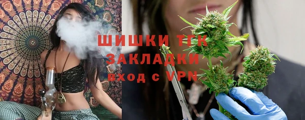 бошки Нея