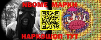 винт Тара