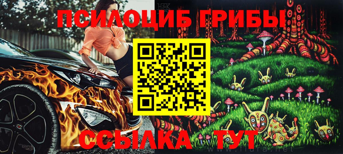Псилоцибиновые грибы Psilocybe Самара