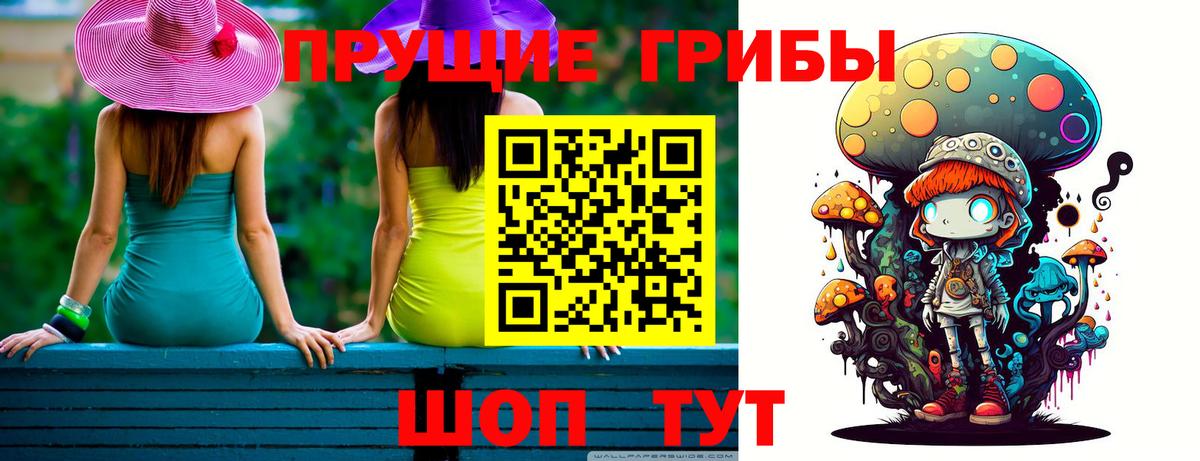 Самара  Галлюциногенные грибы GOLDEN TEACHER  Вход с VPN  Псилоцибиновые грибы Psilocybine cubensis 