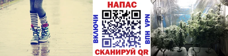 сайты даркнета какой сайт  цены наркотик  Самара  МАРИХУАНА White Widow 
